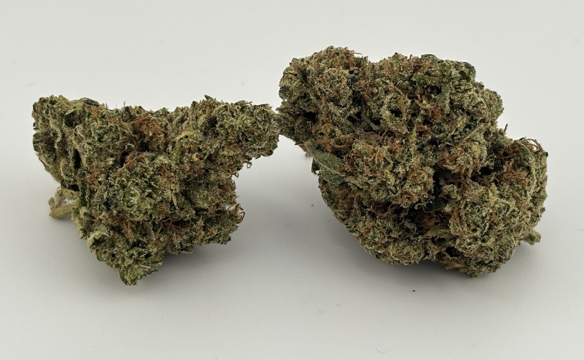 Photograph of product: Sugarbud | Flower [I] | Blueberry Cheesecake (5511)