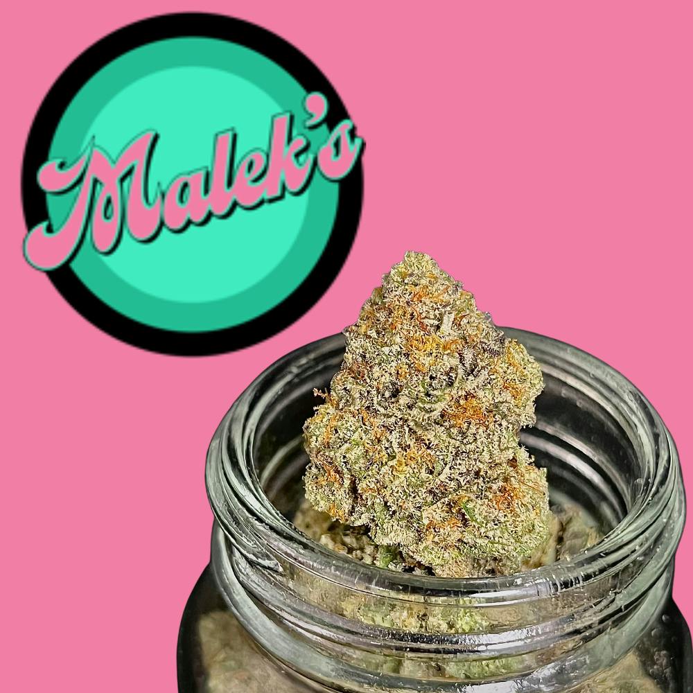 Photograph of product: OZ Kush {OG Kush x Zkittlez} (Malek's) "BLACK SHELF"