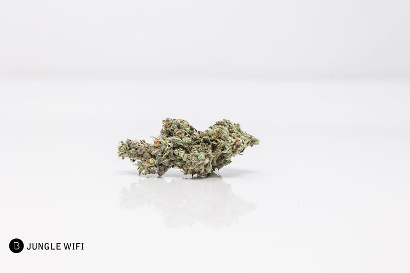 Photograph of product: BOLD | Jungle Wifi | Flower | 2g