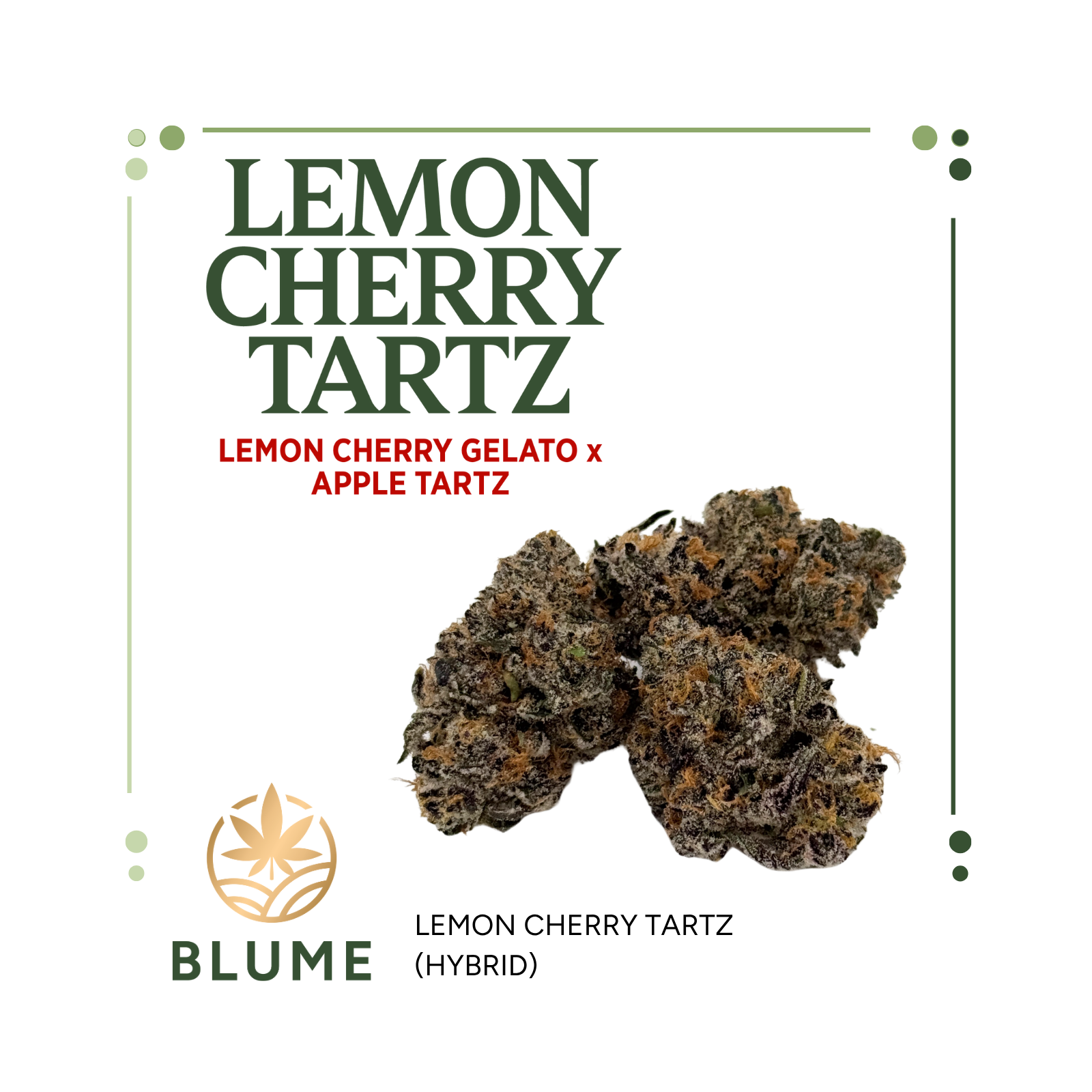 Photograph of product: Flower | BLUME | Lemon Cherry Tartz | Bulk - 28g