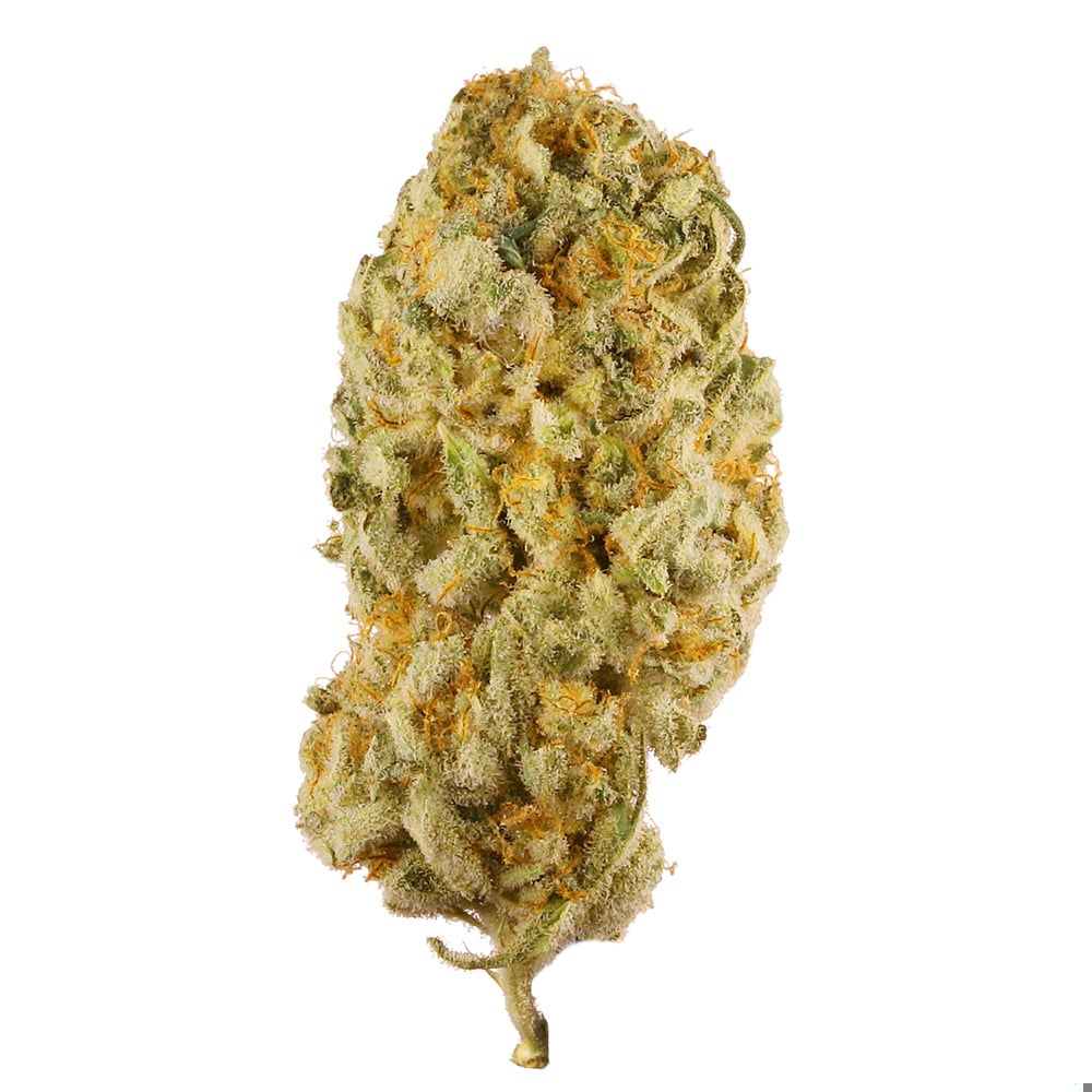 Photograph of product: Jack Herer Flower - 7g