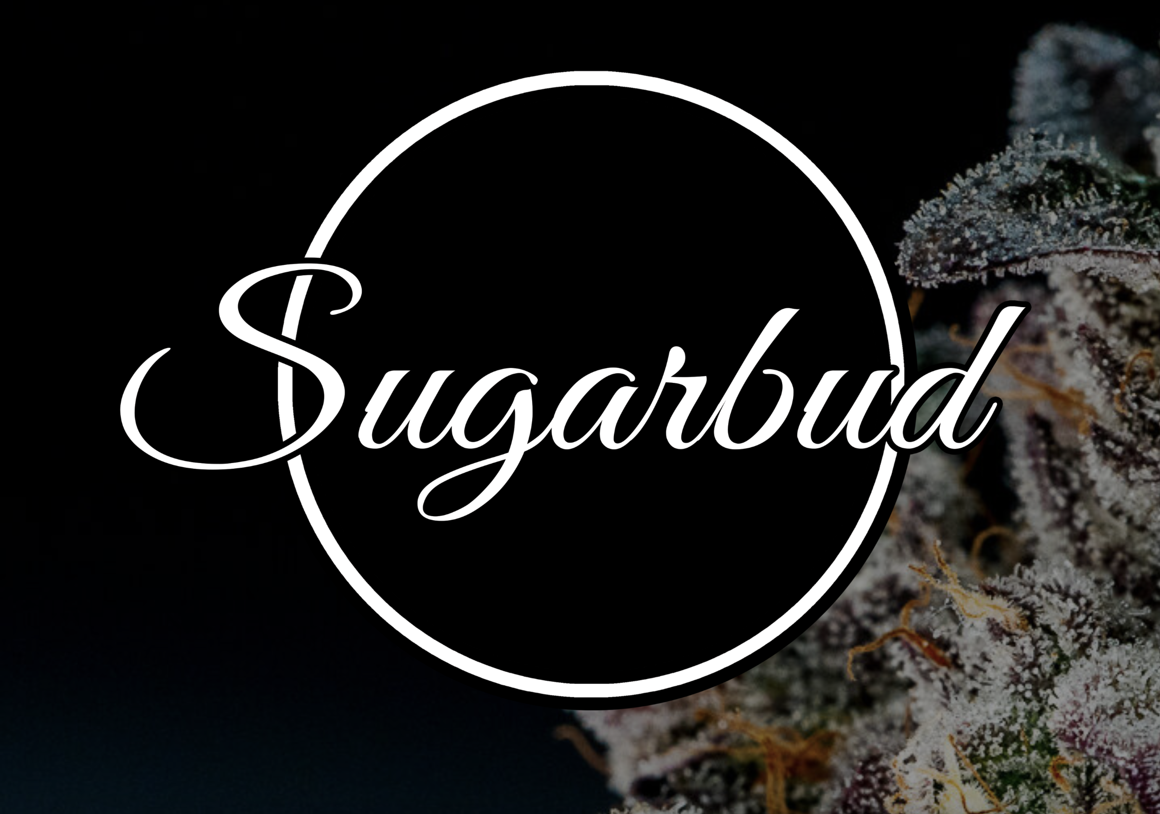 Photograph of product: Fear & Loathing | Hybrid | Sugarbud - 28g