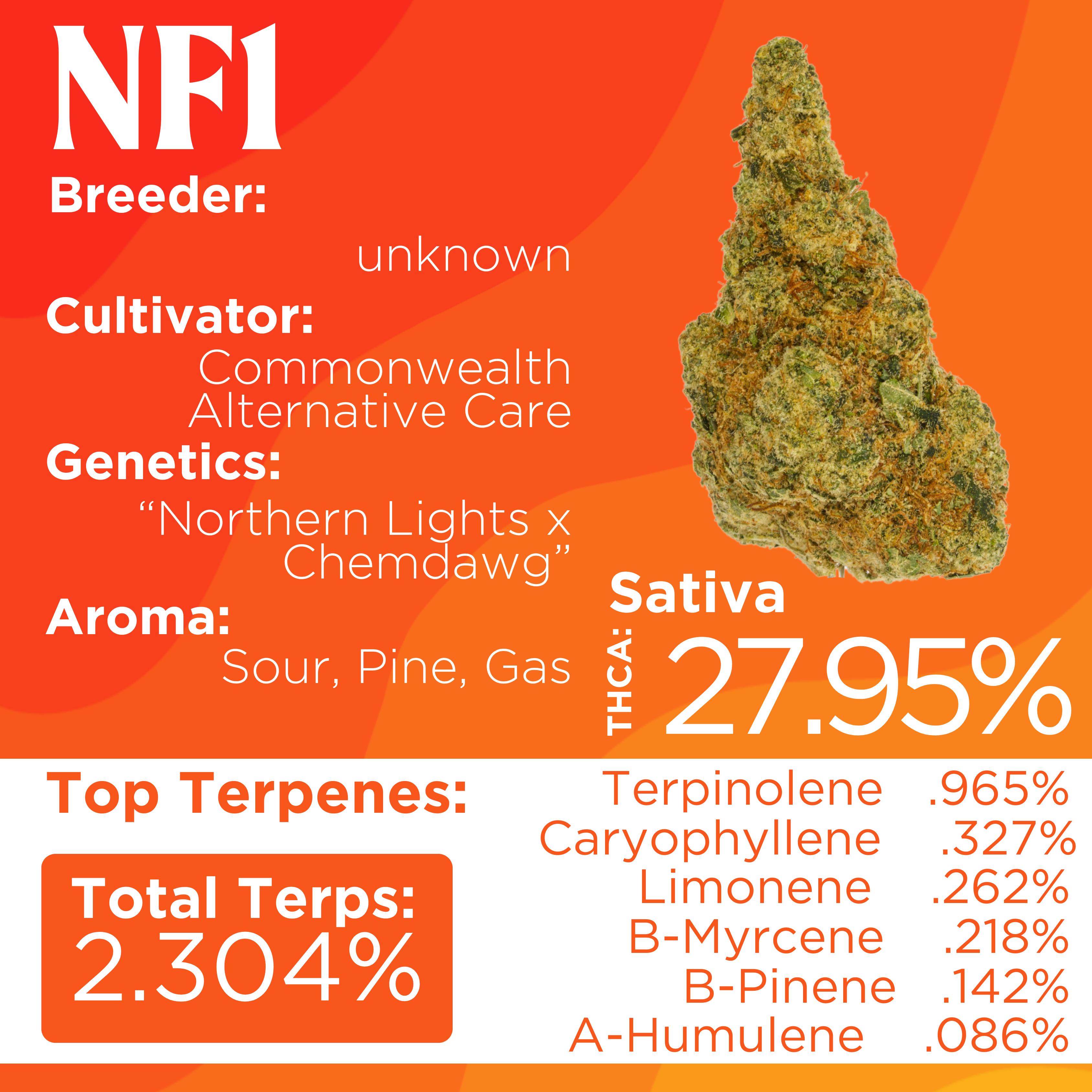 Photograph of Product: Deli Style | NF1 - Sativa - 1g