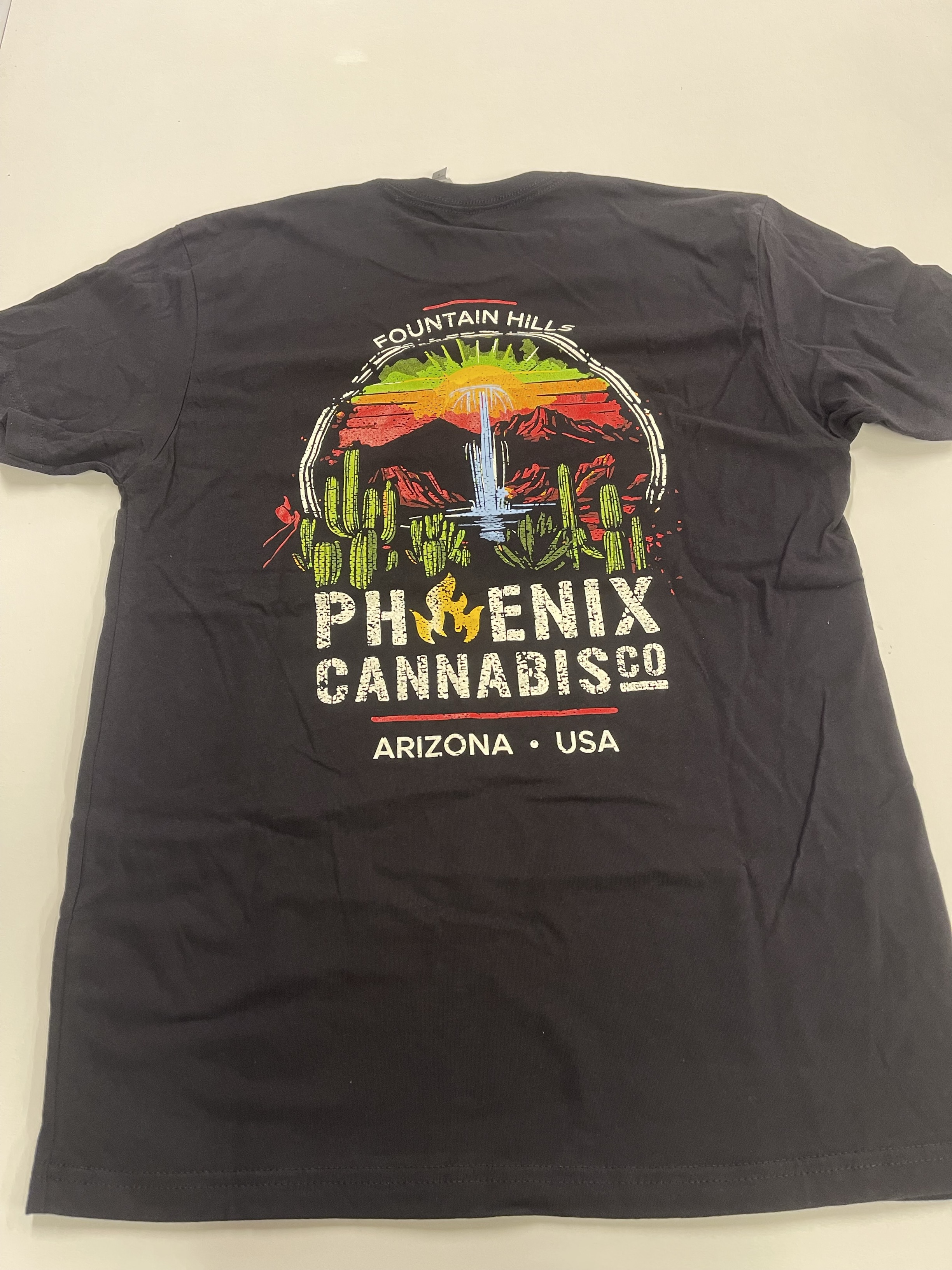 Photograph of product: Black T-Shirt