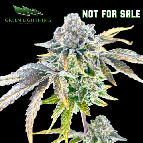 Photograph of product: Not For Sale - 3.5g