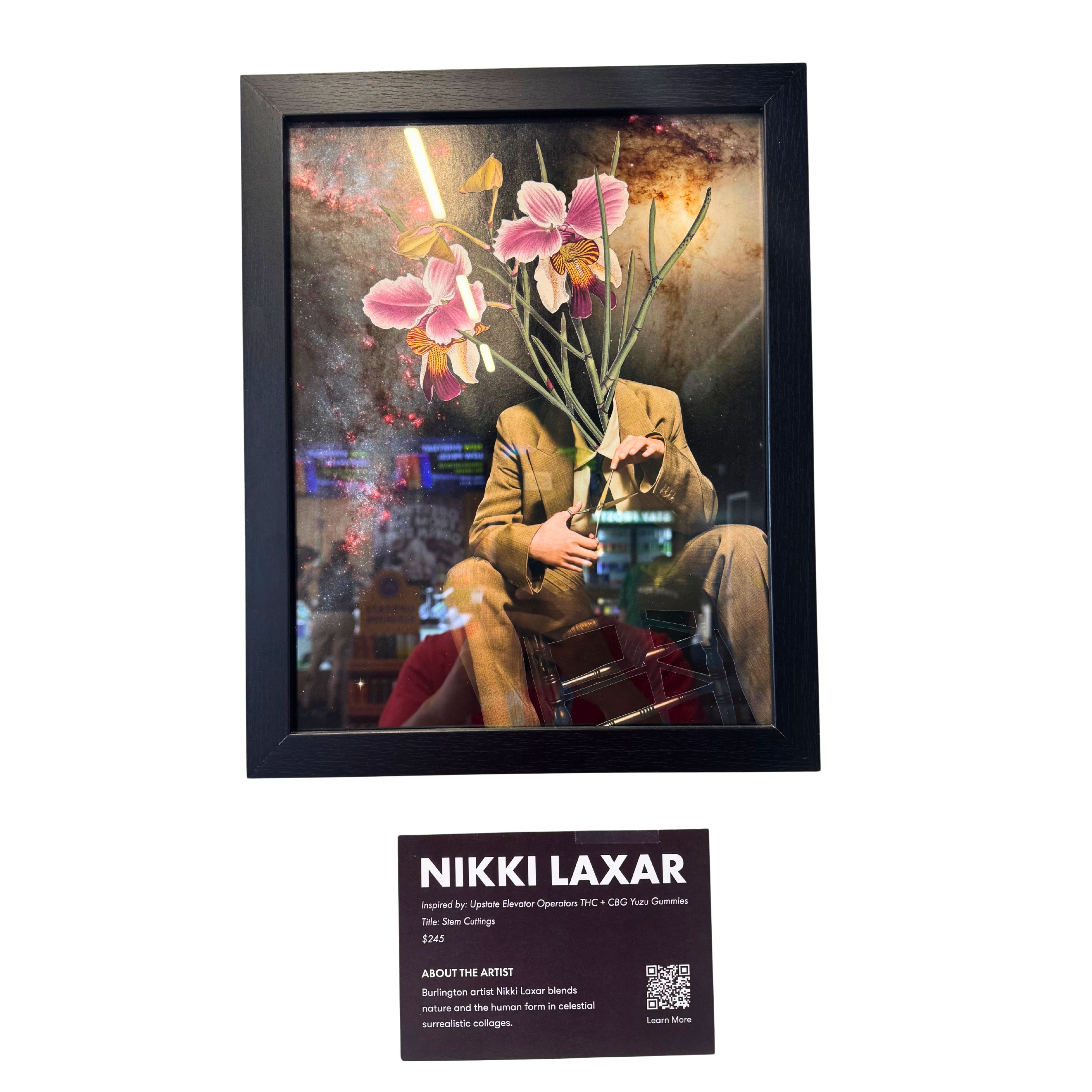 Photograph of product: Nikki Laxar Painting