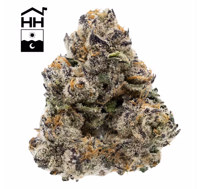 Photograph of product: BigDankLato - 3.5g