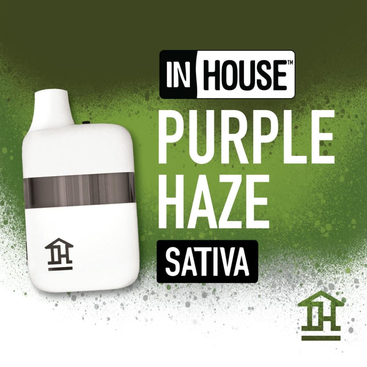Photograph of product: Purple Haze | Disposable
