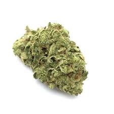 Photograph of product: PRIVATE RESERVE - FLOWER - - Oui'd - GORILLA GLUE #4 - 4g