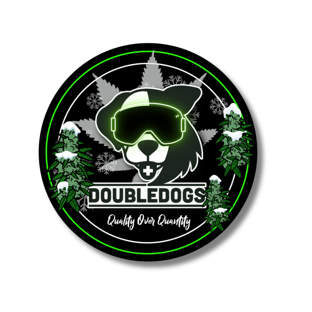 Photograph of product: Double Dogs Ski Sticker