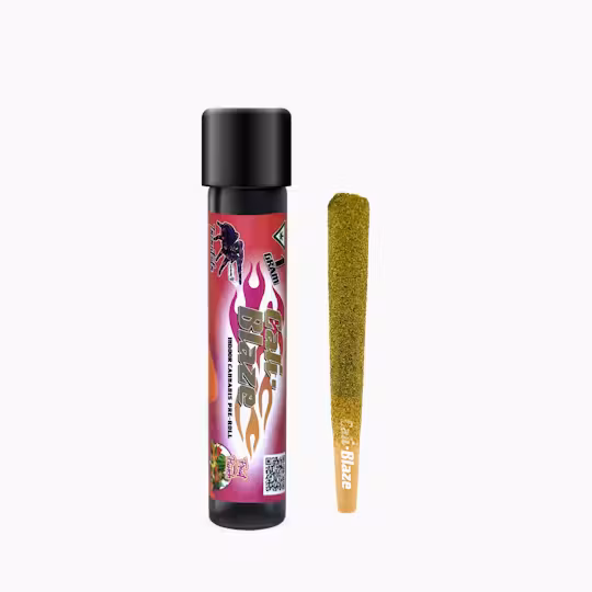 Photograph of product: Fruit Punch Tarantula Infused | Pre Rolls