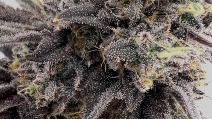 Photograph of product: Rainbow Runtz - 3.5g