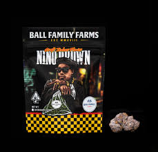 Photograph of product: Ball Family Farms - Nino Brown 4g Mylar