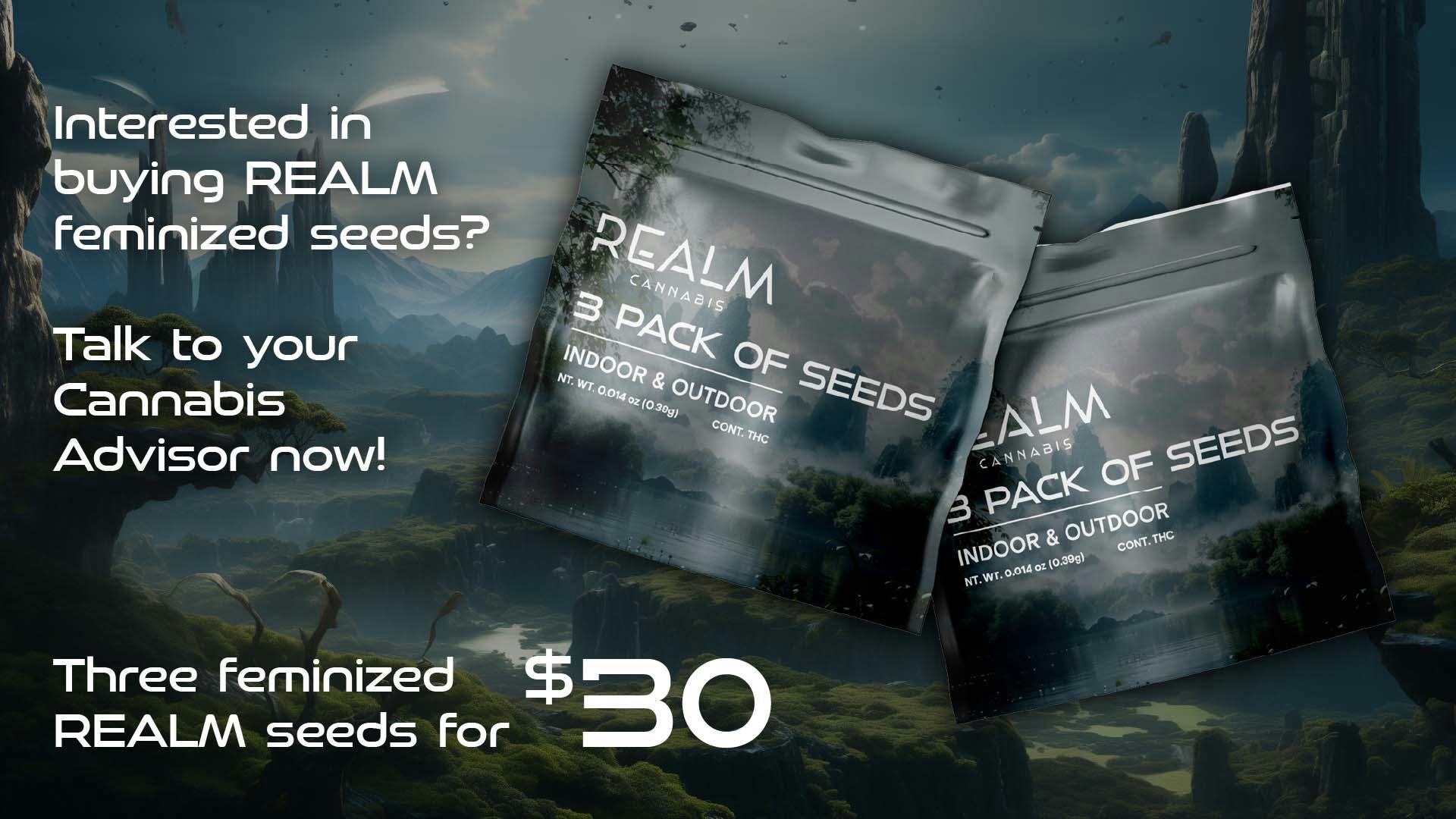 Photograph of Product: London Jelly x Governmint Oasis *Three unit minimum purchase for $30*