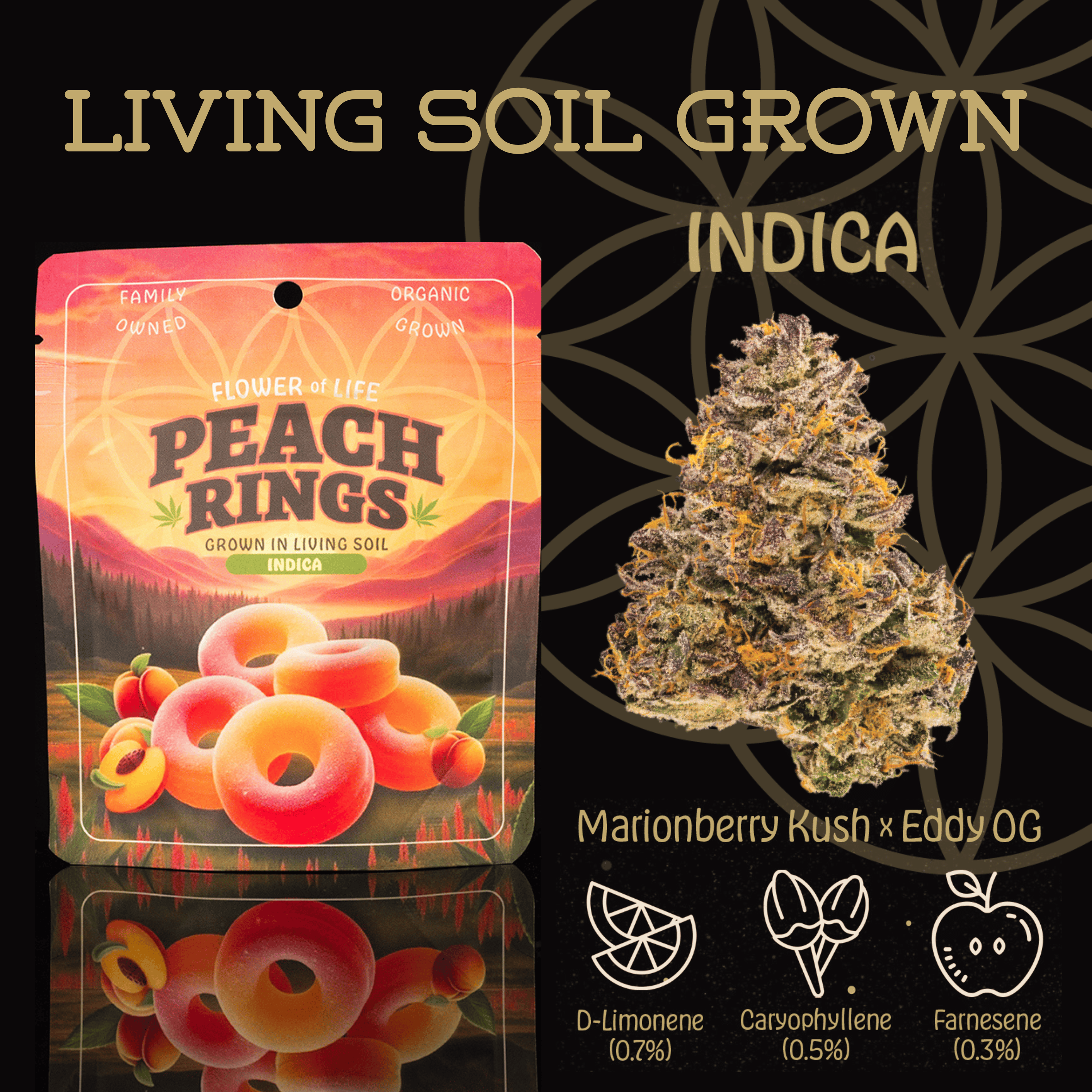 Photograph of product: Peach Rings | Deli - 1g