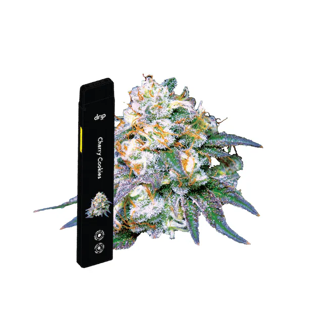 Photograph of product: DRIP | Vape Cartridge | Disposable | Do Si Dos