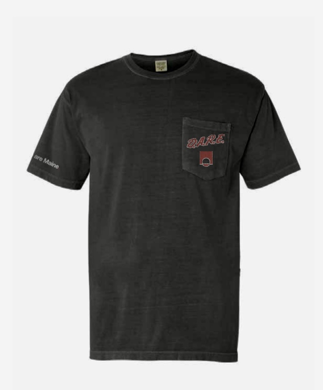 Photograph of product: D.A.R.E. Pocket T-Shirt - L