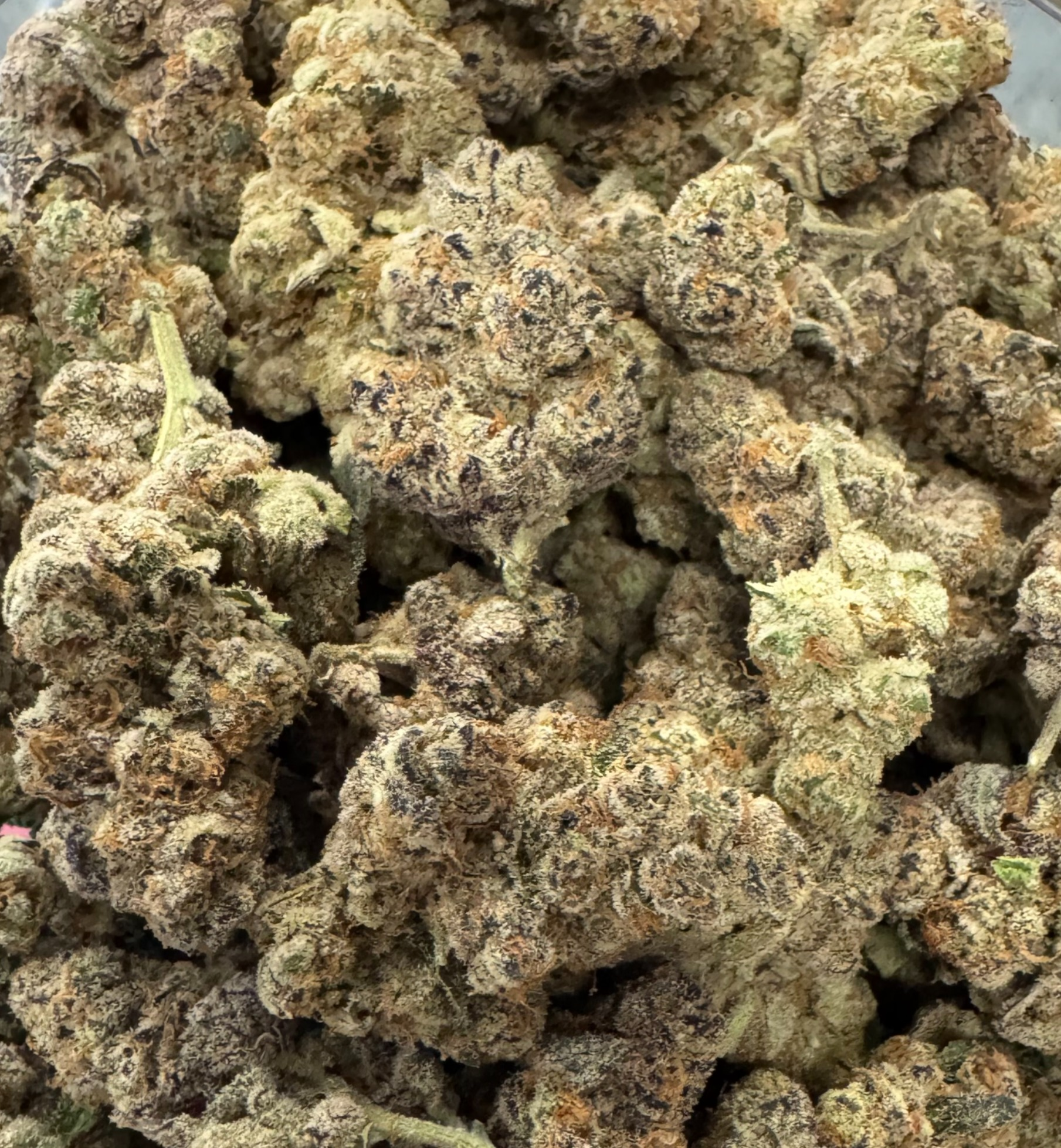 Photograph of product: Glitter Bomb : Ripe Herb : Hartford, MI Grown - 28g