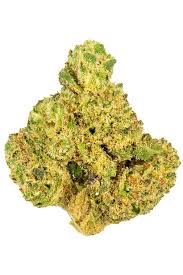 Photograph of product: Green | Mountain Glue 28g