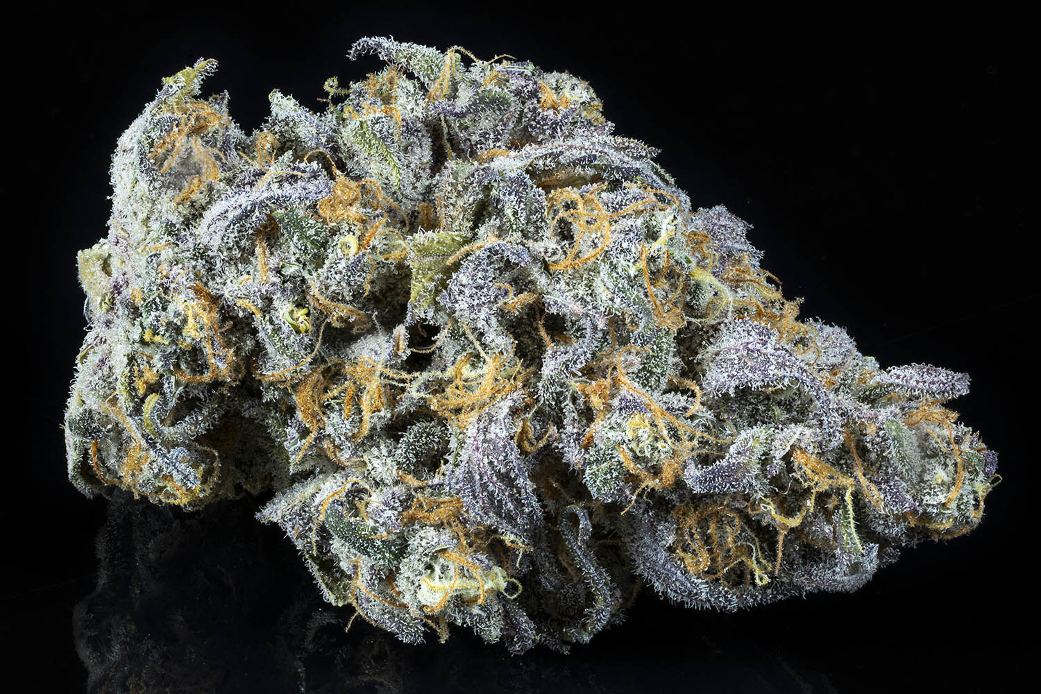 Photograph of product: Jungle Cookies - Bulk Flower - 28g