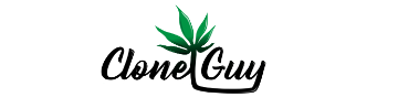 Photograph of Product: Gelato 41 Single Clone