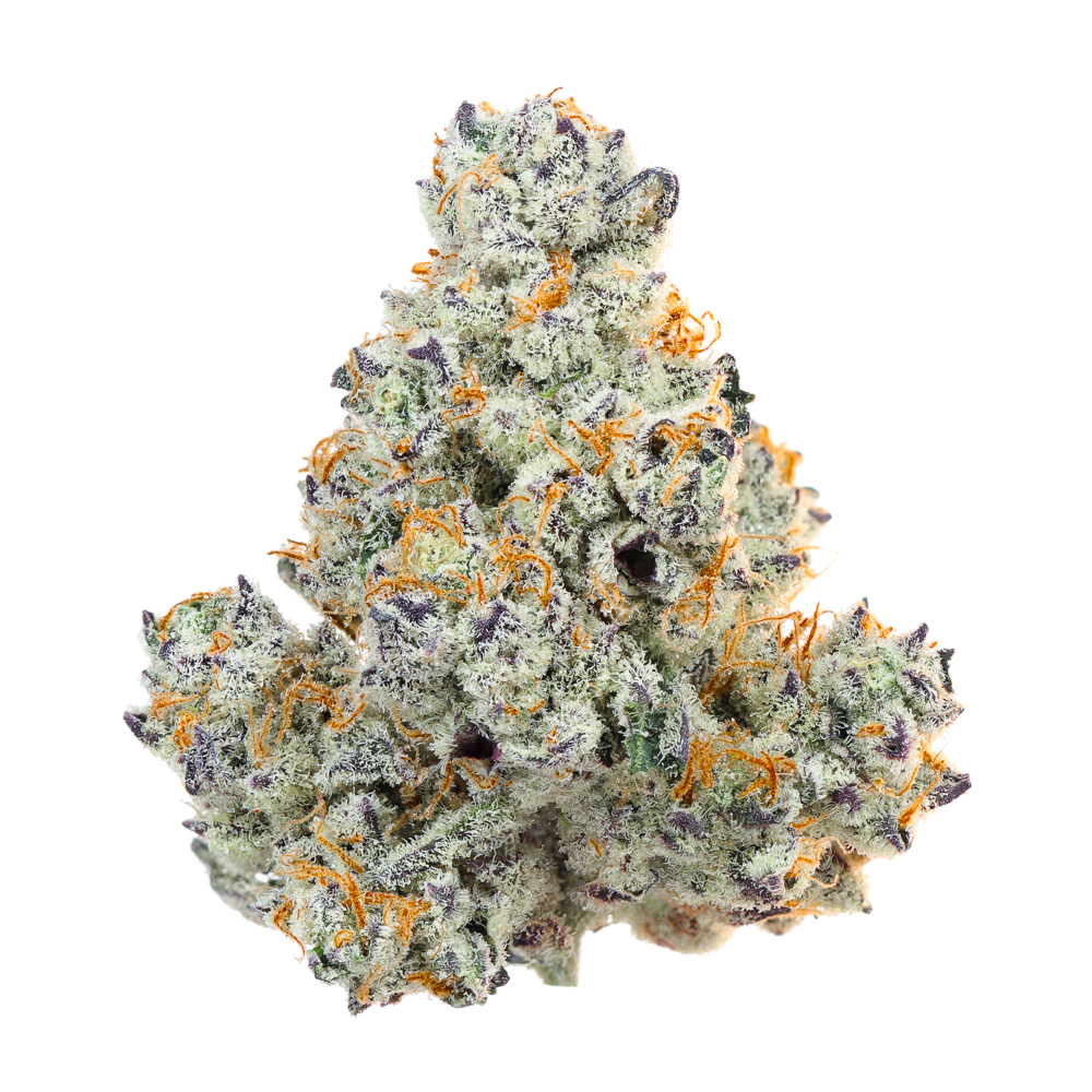 Photograph of product: DANTES INFERNO 7G