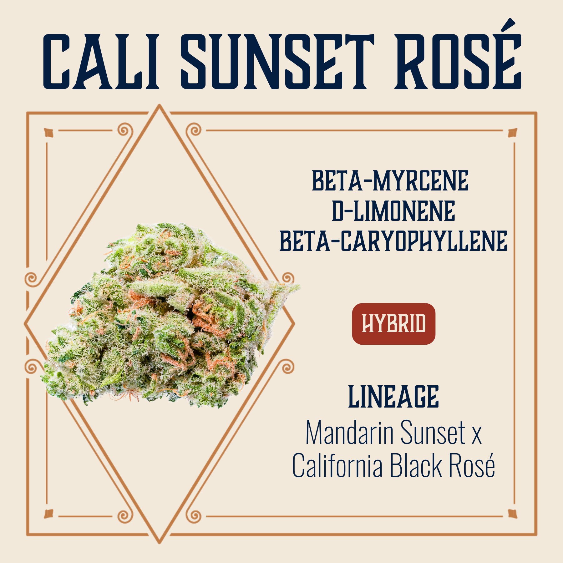 Photograph of product: Cali Sunset Rose Budlets (7g)