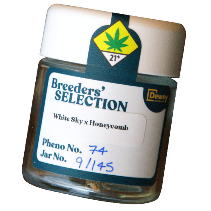 Photograph of product: Dewey 707 Headband x Alpine Ape Flower Oui'd Hybrid 3.5g