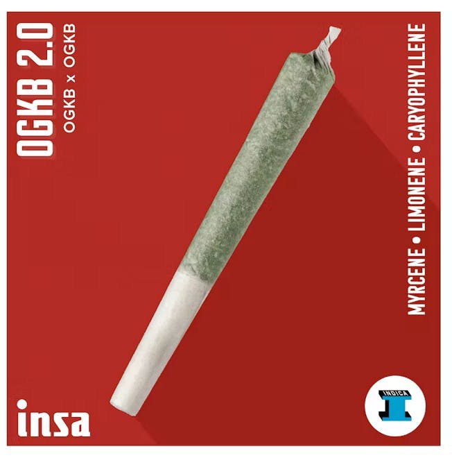 Photograph of product: OGKB Blunt | INSA