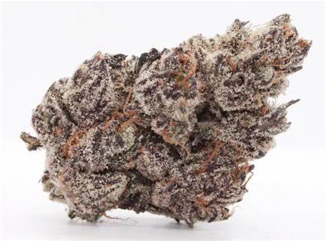 Photograph of product: Bolo Runtz Flower By Vanilla Sunshine - 28g