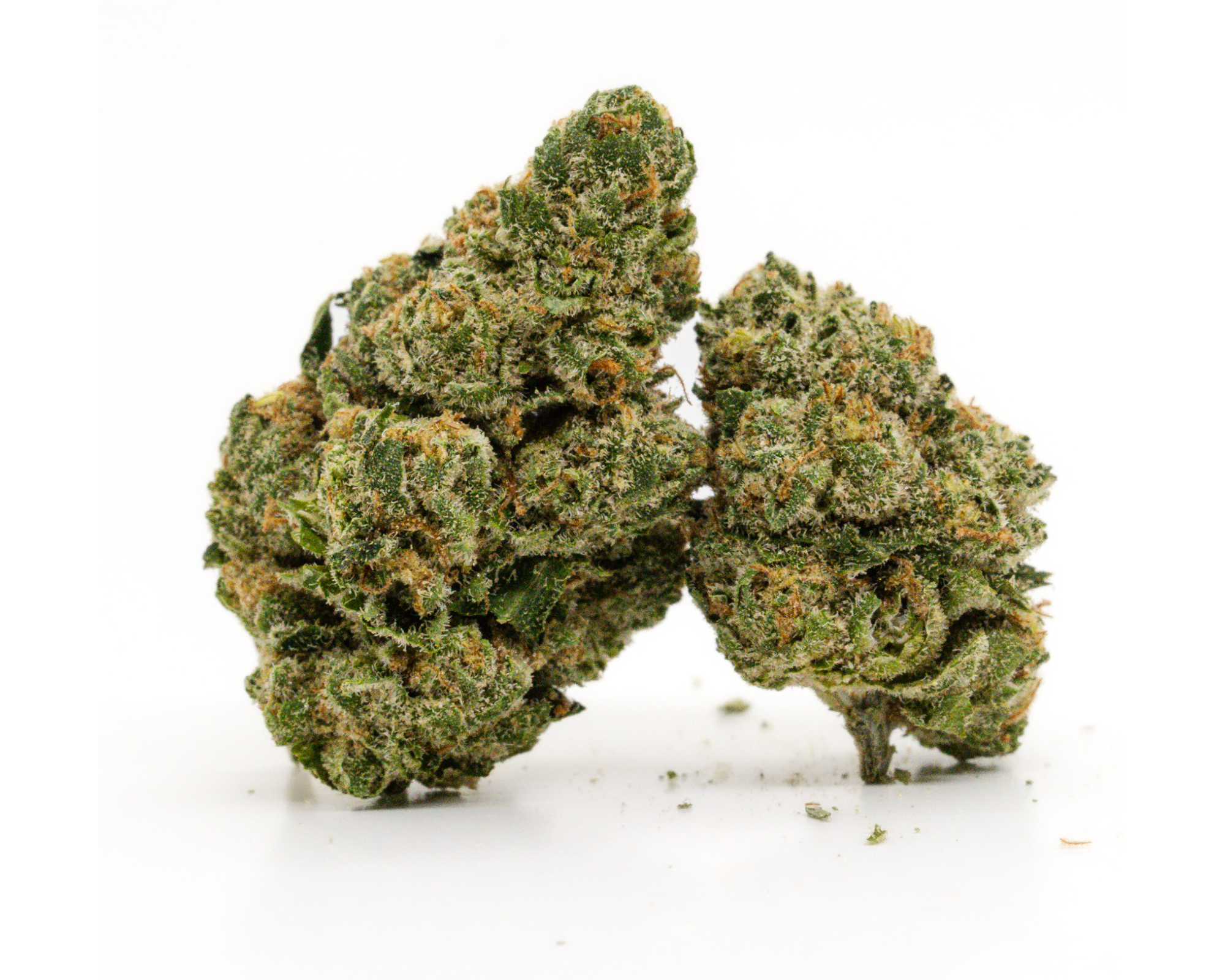 Photograph of product: Felicia OG - Select Indoor - 28g