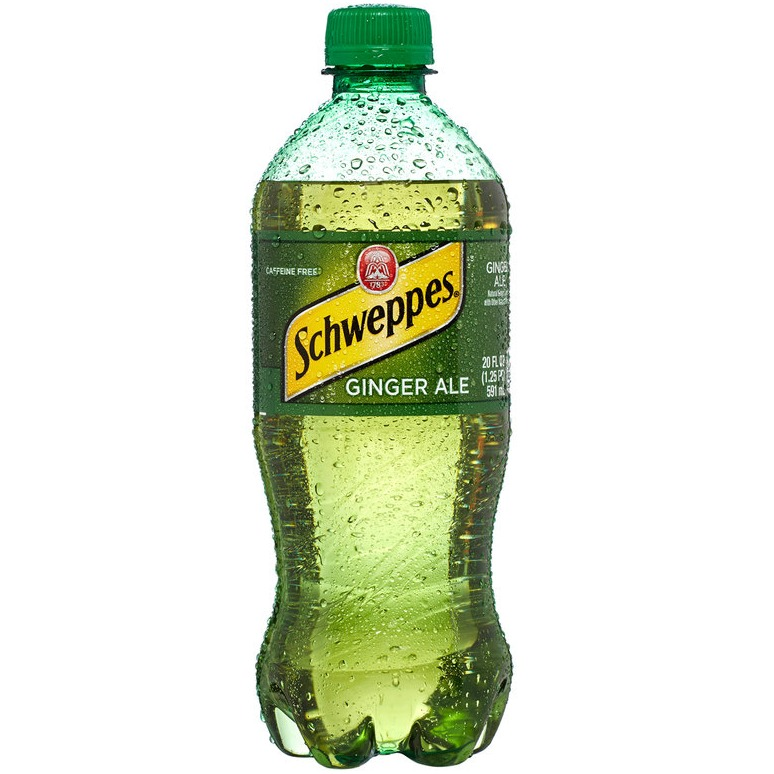 Photograph of product: SCHWEPPES | Ginger Ale