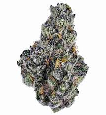 Photograph of product: BLVD | Greyhound 3.5g