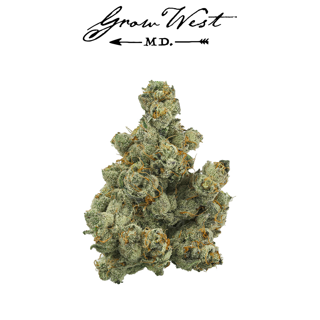 Photograph of product: Grape Cake Wildflower 3.5g