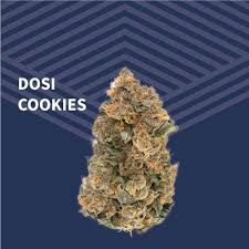 Photograph of product: Dosi Cookie Flower - 3.5g