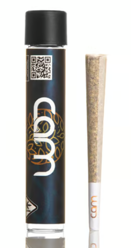 Photograph of product: Kush Mints Pre Roll 1 G