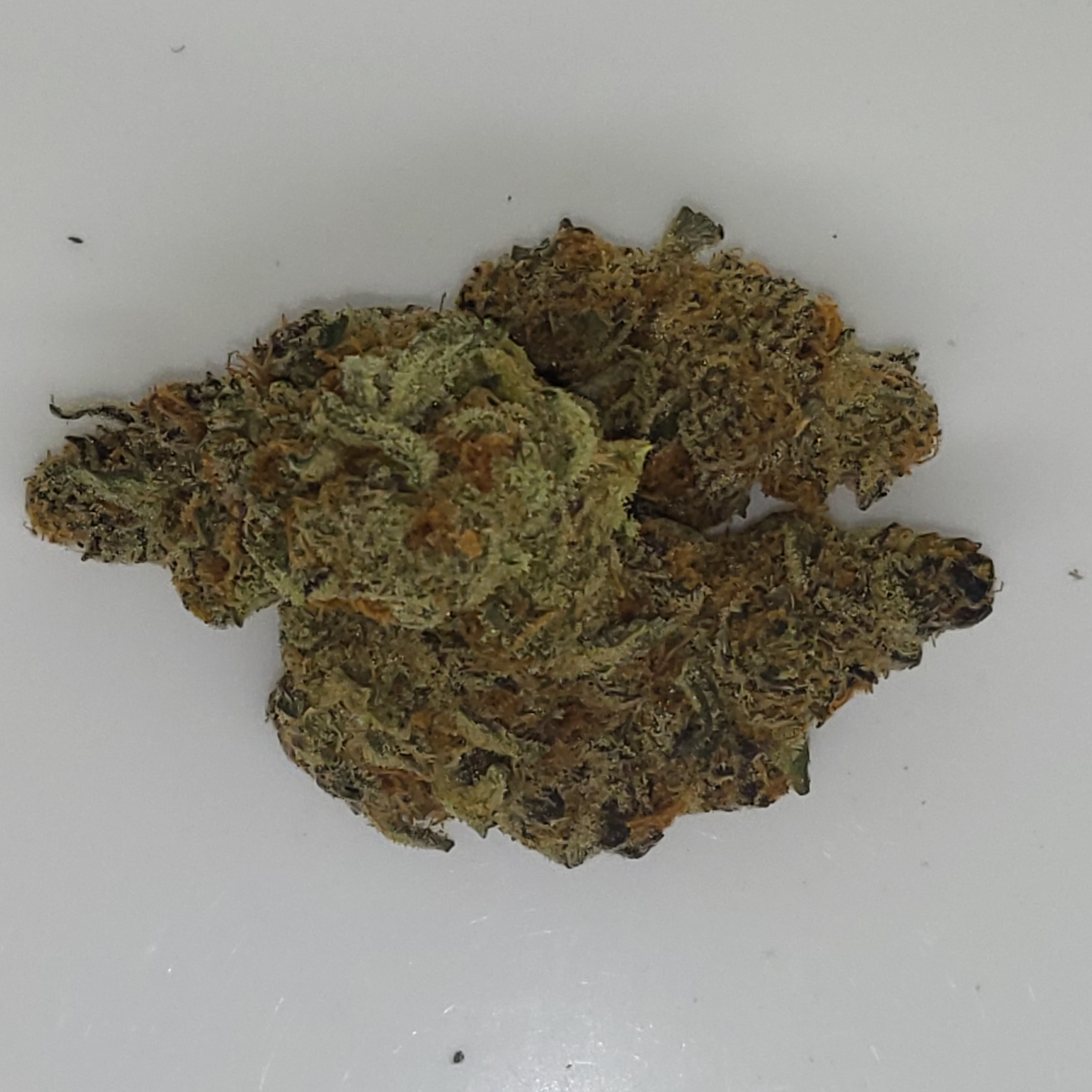 Photograph of product: Forbidden Jelly 3.5g Flower 30.74% TH-oui by Dope Dynasty