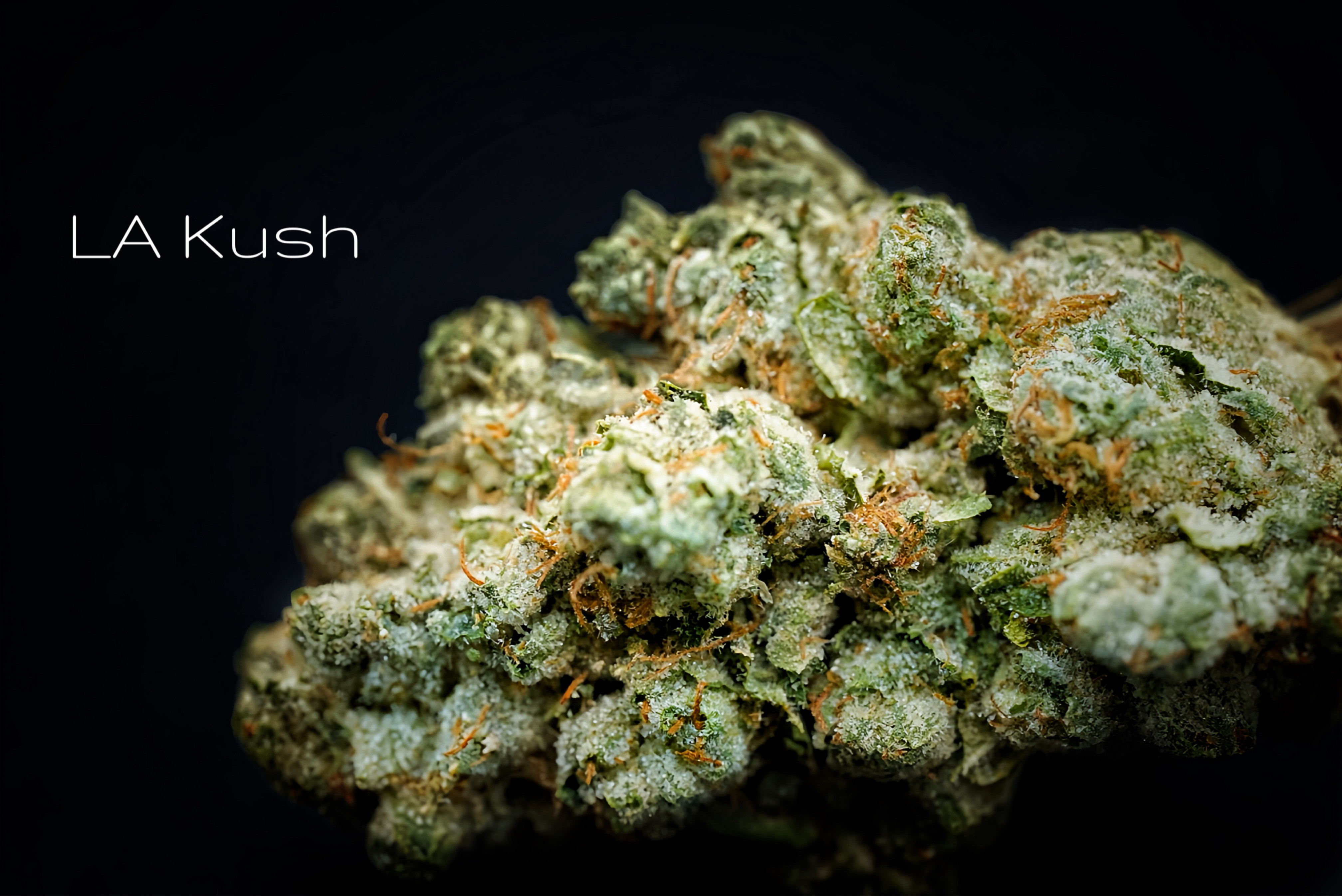 Photograph of product: LA Kush Popcorn - 28g