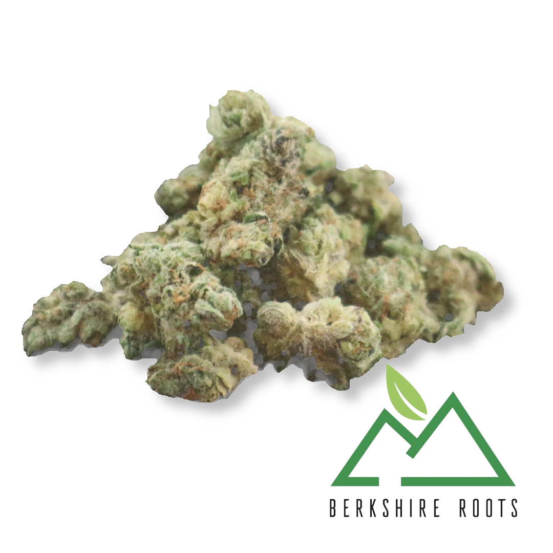 Photograph of product: Night Terror OG Small Buds | 7g