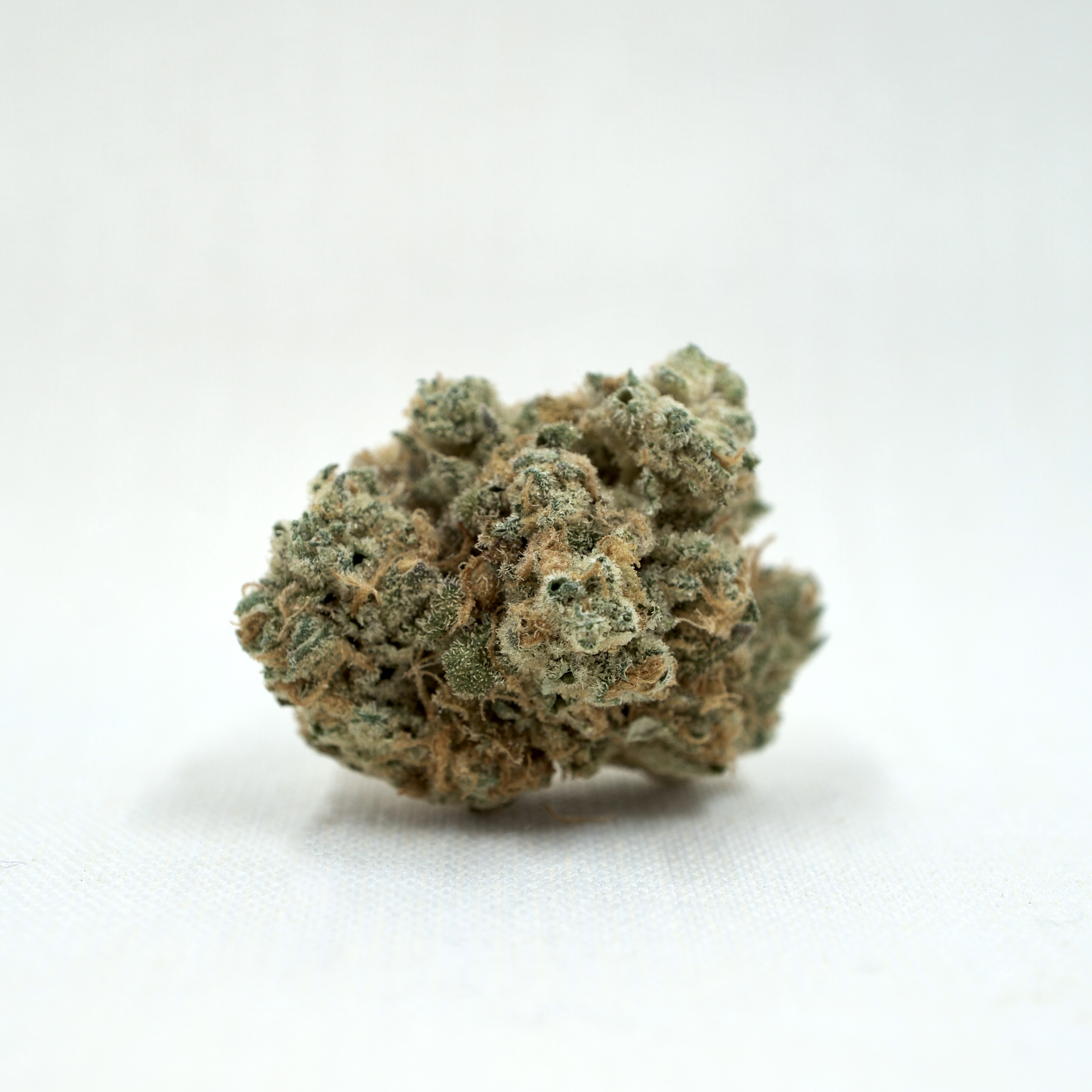 Photograph of product: Night Terror OG | TAC: 28.9% - 3.5g