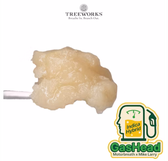Photograph of product: GasHead | Live Rosin | 1g