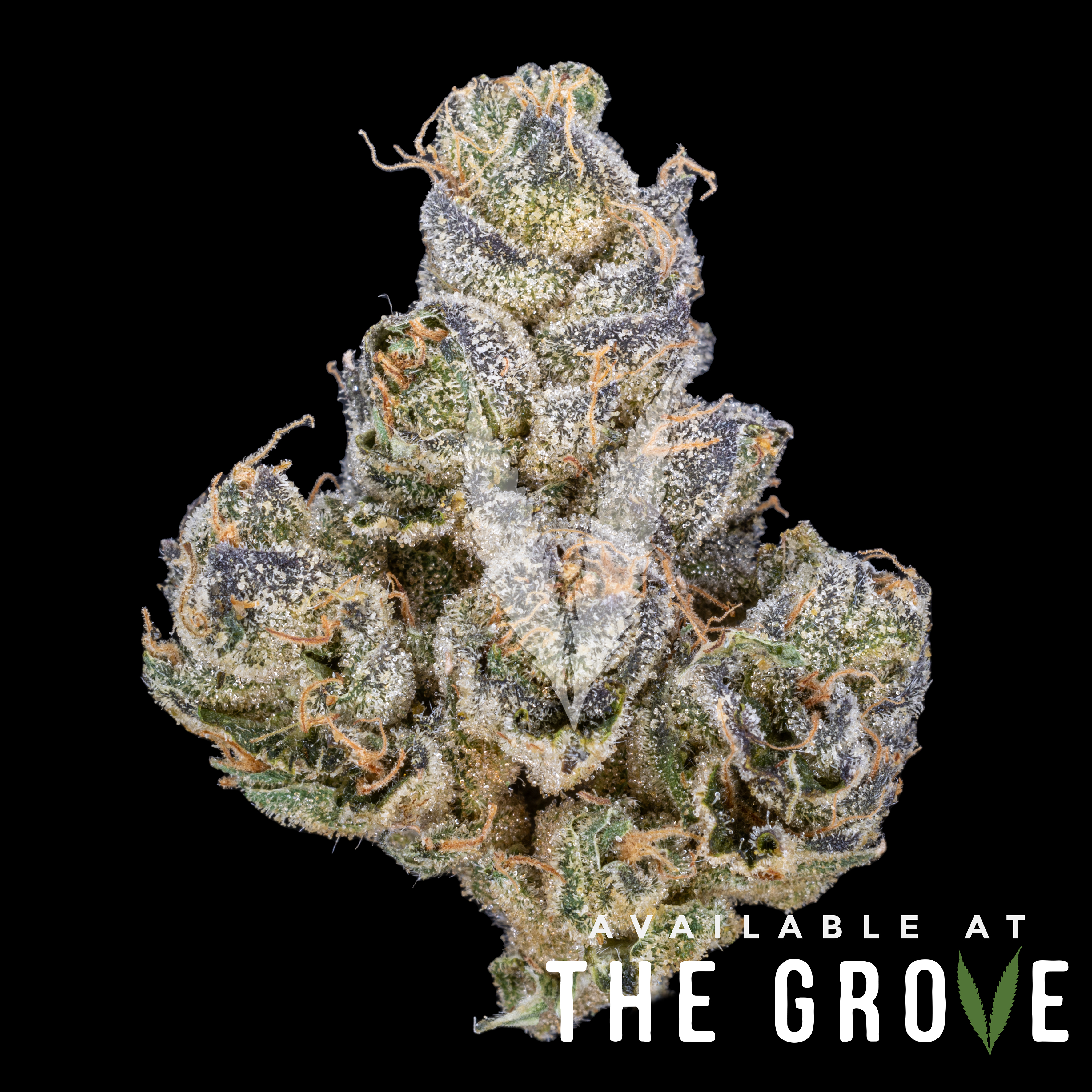 Photograph of product: CBX | Blue Flame OG - 3.5g
