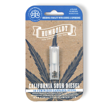 Photograph of product: Humboldt Sour Diesel (Si) Feminized Seeds 10pk - Humboldt Seed Company