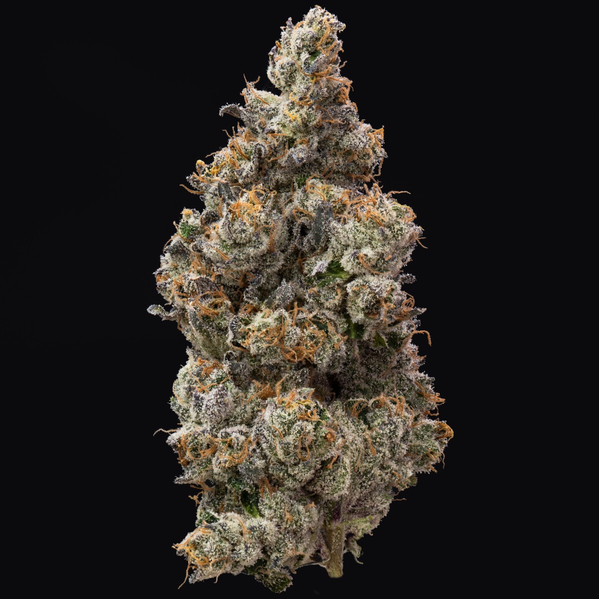 Photograph of product: Impressed Bananaconda 3.5g