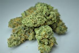 Photograph of product: Ecto Cooler - 3.5g