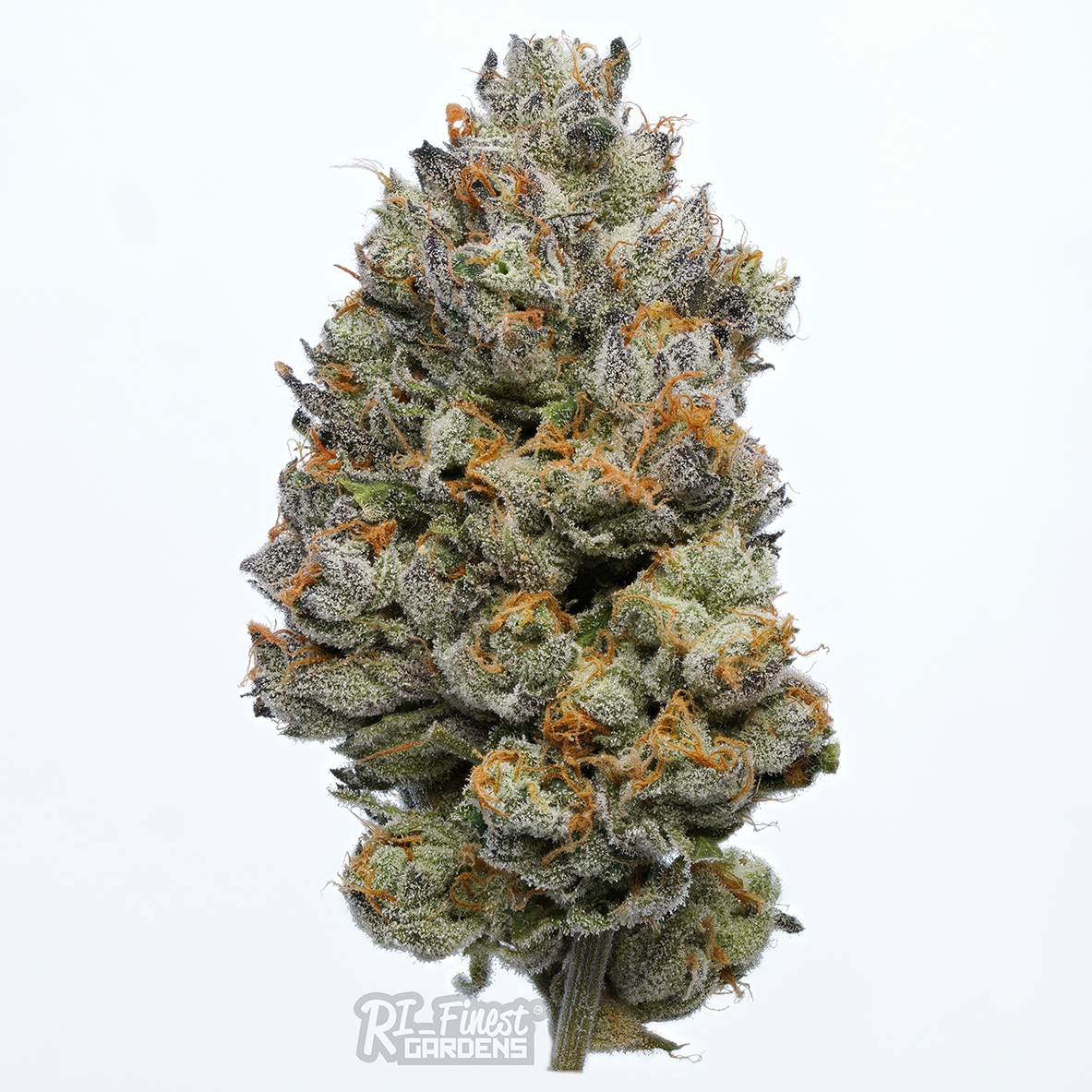 Photograph of product: Trunk Funk | 3.5g