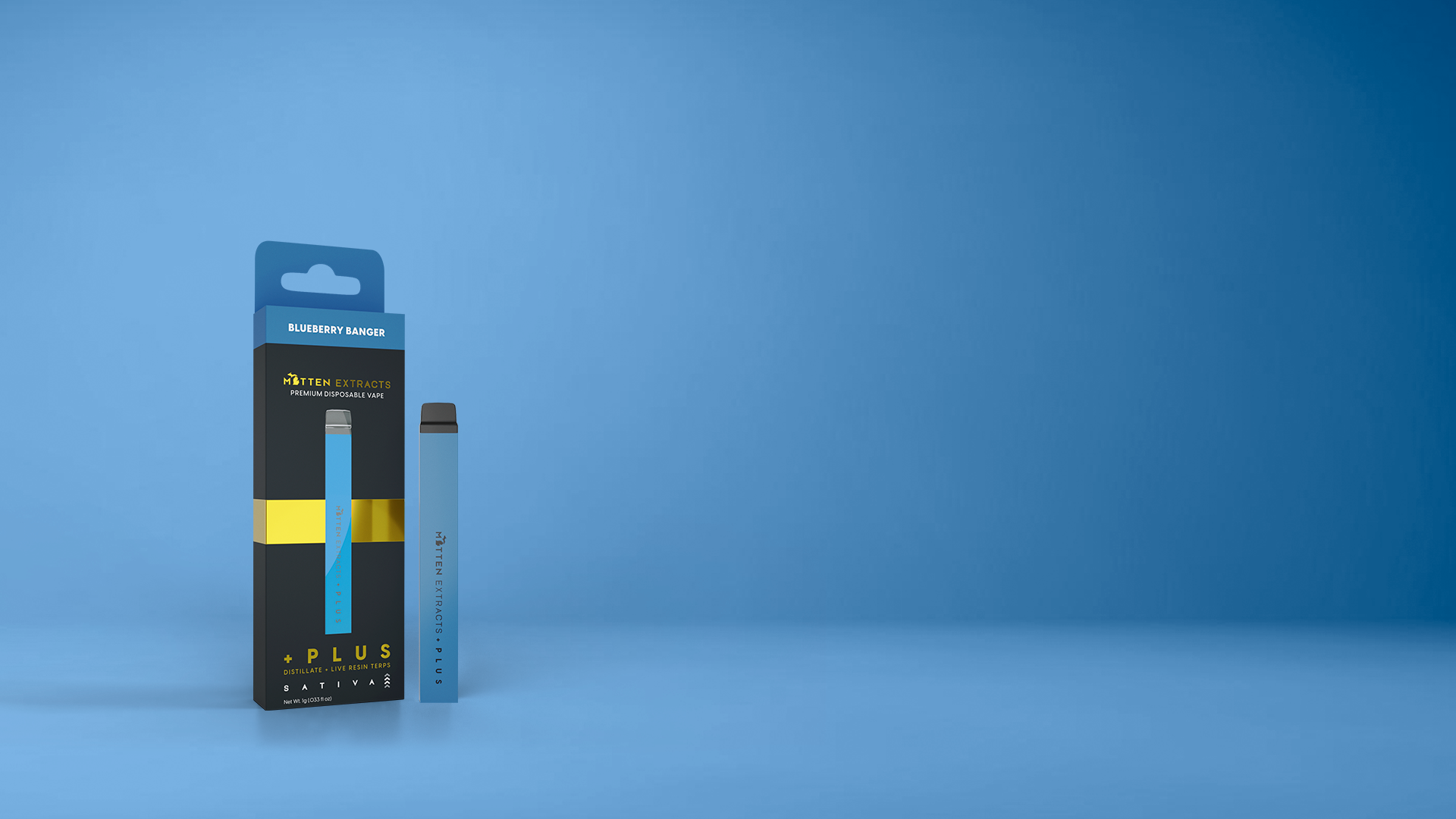 Photograph of product: Blueberry Banger - Disposable