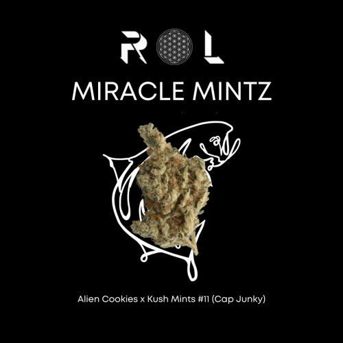 Photograph of product: Preroll | Miracle Mintz