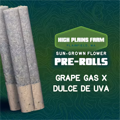 Photograph of product: Grape Gas x Dulce De Uva Pre-Roll | 3-Pack