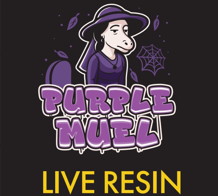 Photograph of product: Mota LR Cart 1g Purple Mule